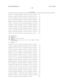 MULTI PLASMID SYSTEM FOR THE PRODUCTION OF INFLUENZA VIRUS diagram and image