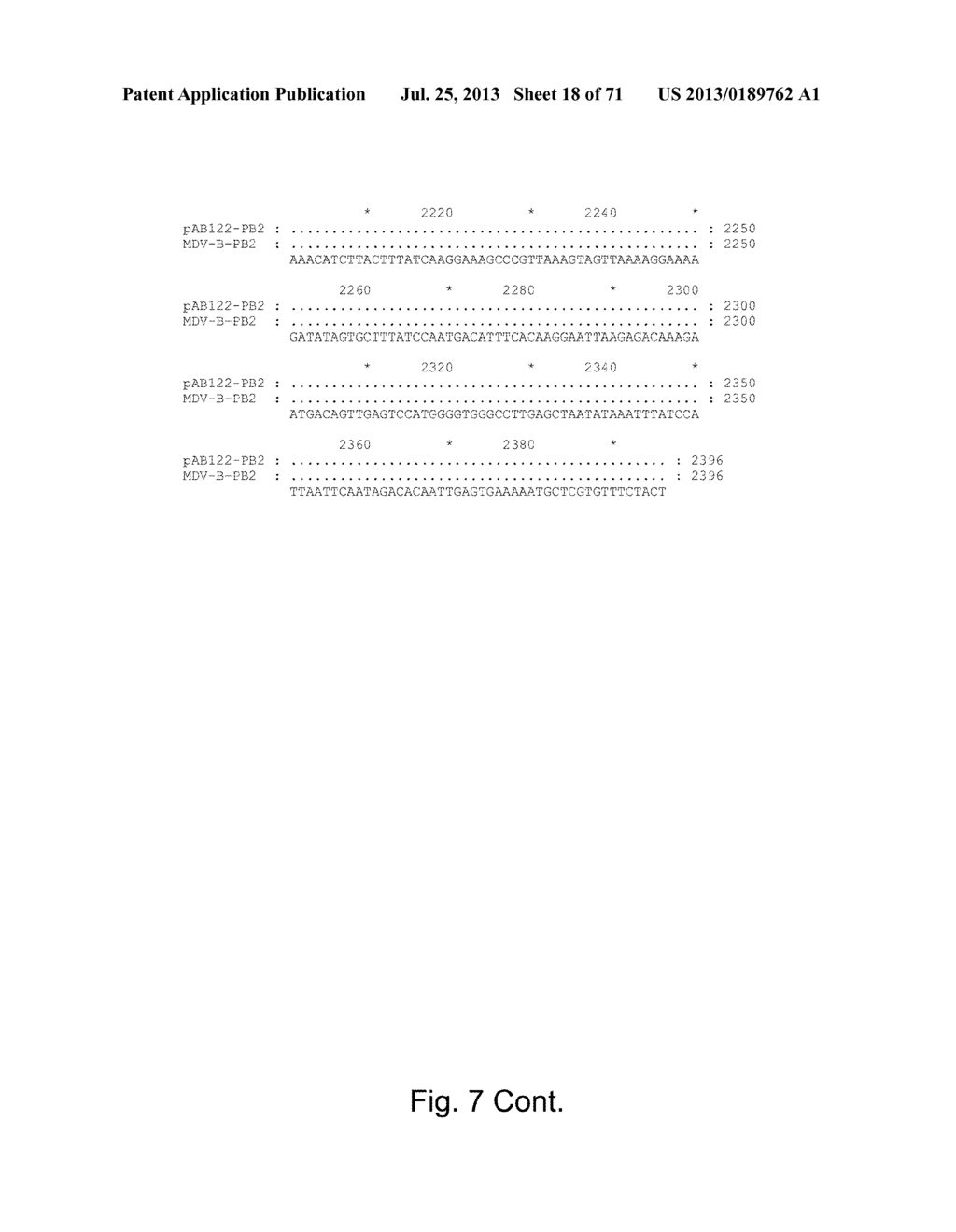 MULTI PLASMID SYSTEM FOR THE PRODUCTION OF INFLUENZA VIRUS - diagram, schematic, and image 19