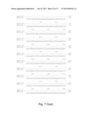 MULTI PLASMID SYSTEM FOR THE PRODUCTION OF INFLUENZA VIRUS diagram and image