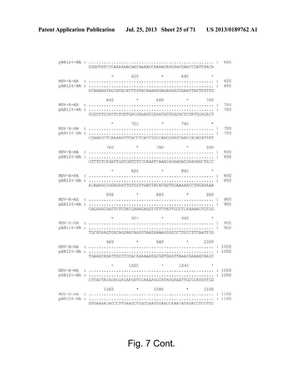 MULTI PLASMID SYSTEM FOR THE PRODUCTION OF INFLUENZA VIRUS - diagram, schematic, and image 26