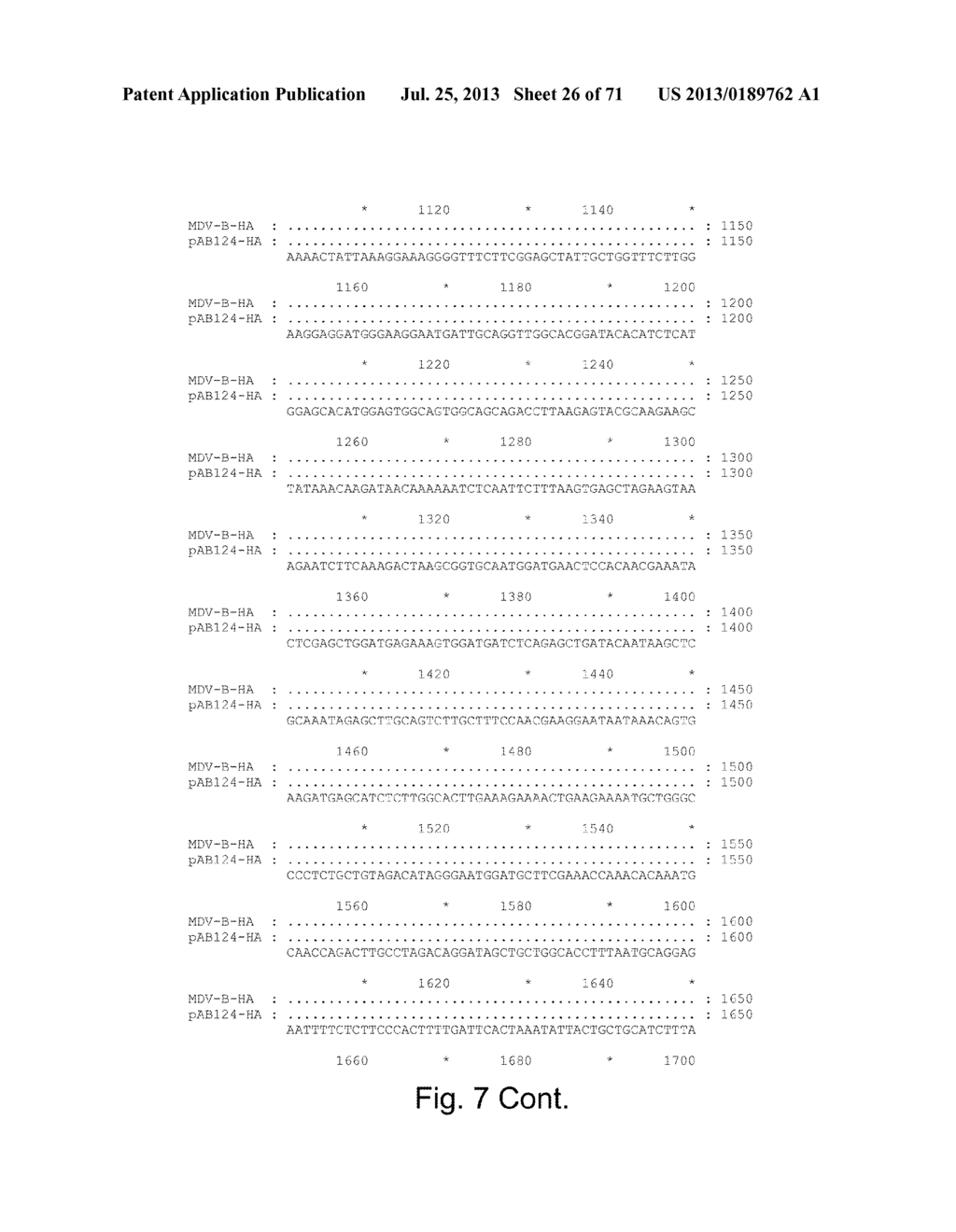 MULTI PLASMID SYSTEM FOR THE PRODUCTION OF INFLUENZA VIRUS - diagram, schematic, and image 27