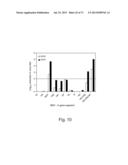 MULTI PLASMID SYSTEM FOR THE PRODUCTION OF INFLUENZA VIRUS diagram and image