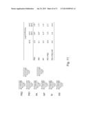 MULTI PLASMID SYSTEM FOR THE PRODUCTION OF INFLUENZA VIRUS diagram and image