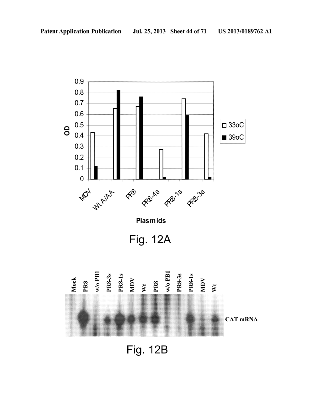 MULTI PLASMID SYSTEM FOR THE PRODUCTION OF INFLUENZA VIRUS - diagram, schematic, and image 45