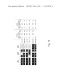 MULTI PLASMID SYSTEM FOR THE PRODUCTION OF INFLUENZA VIRUS diagram and image