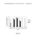 MULTI PLASMID SYSTEM FOR THE PRODUCTION OF INFLUENZA VIRUS diagram and image