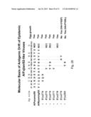 MULTI PLASMID SYSTEM FOR THE PRODUCTION OF INFLUENZA VIRUS diagram and image