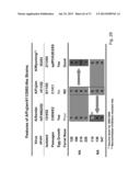 MULTI PLASMID SYSTEM FOR THE PRODUCTION OF INFLUENZA VIRUS diagram and image