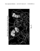 MULTI PLASMID SYSTEM FOR THE PRODUCTION OF INFLUENZA VIRUS diagram and image