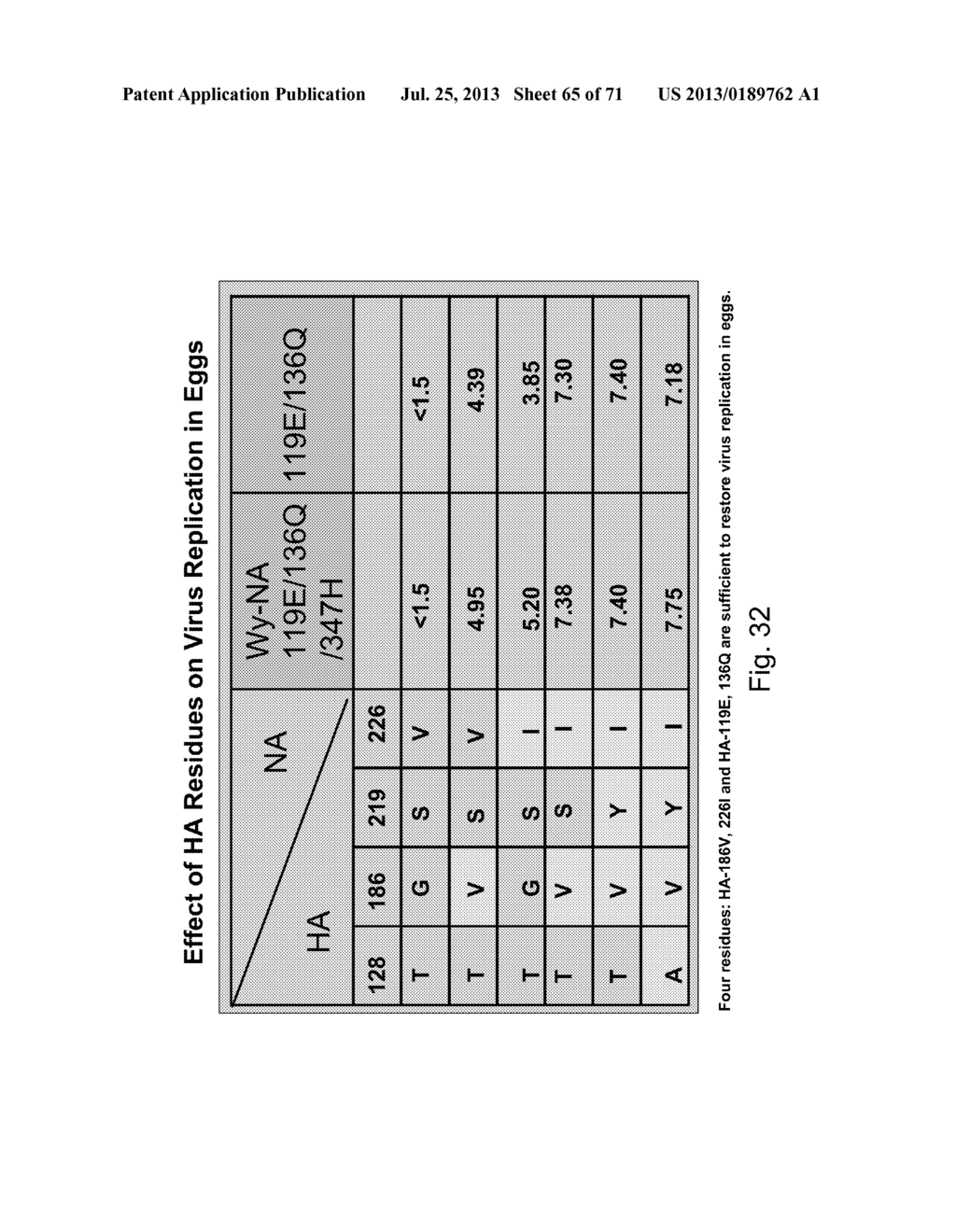 MULTI PLASMID SYSTEM FOR THE PRODUCTION OF INFLUENZA VIRUS - diagram, schematic, and image 66