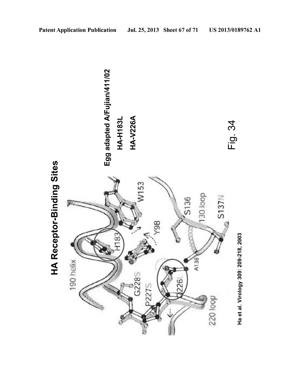 MULTI PLASMID SYSTEM FOR THE PRODUCTION OF INFLUENZA VIRUS - diagram, schematic, and image 68