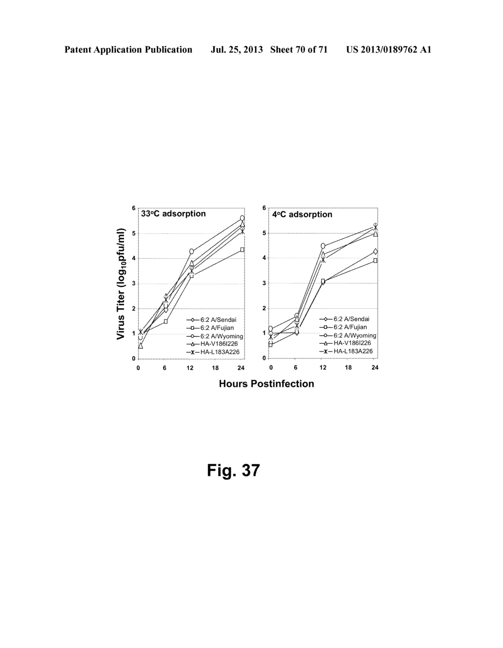 MULTI PLASMID SYSTEM FOR THE PRODUCTION OF INFLUENZA VIRUS - diagram, schematic, and image 71