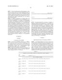 MULTI PLASMID SYSTEM FOR THE PRODUCTION OF INFLUENZA VIRUS diagram and image