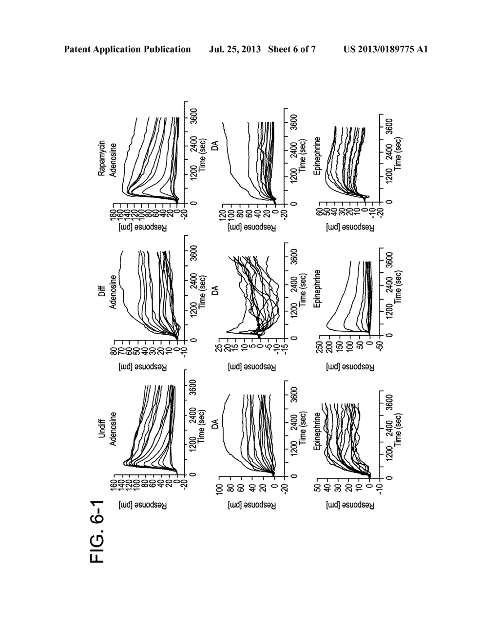 MODULATION OF THE MAMMALIAN RECEPTOR mTOR TO INHIBIT  STEM CELL     DIFFERENTIATION INTO NEURONS - diagram, schematic, and image 07