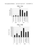 Differentiation of Human Embryonic Stem Cells into Single Hormonal Insulin     Positive Cells diagram and image