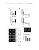 LOSS OF DE NOVO DNA METHYLTRANSFERASES PROMOTES EXPANSION OF NORMAL     HEMATOPOIETIC STEM CELLS diagram and image