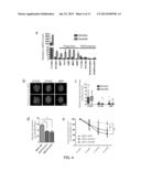 LOSS OF DE NOVO DNA METHYLTRANSFERASES PROMOTES EXPANSION OF NORMAL     HEMATOPOIETIC STEM CELLS diagram and image