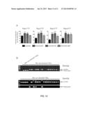 LOSS OF DE NOVO DNA METHYLTRANSFERASES PROMOTES EXPANSION OF NORMAL     HEMATOPOIETIC STEM CELLS diagram and image