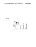 GENERATION OF CARDIOMYOCYTES FROM HUMAN PLURIPOTENT STEM CELLS diagram and image