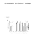 GENERATION OF CARDIOMYOCYTES FROM HUMAN PLURIPOTENT STEM CELLS diagram and image