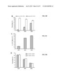 GENERATION OF CARDIOMYOCYTES FROM HUMAN PLURIPOTENT STEM CELLS diagram and image