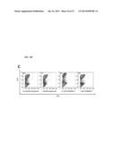 GENERATION OF CARDIOMYOCYTES FROM HUMAN PLURIPOTENT STEM CELLS diagram and image