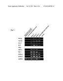 METHOD FOR PRODUCING INDUCED PLURIPOTENT STEM CELLS diagram and image