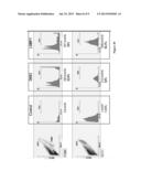 DETECTION OF HUMAN UMBILICAL CORD TISSUE DERIVED CELLS diagram and image