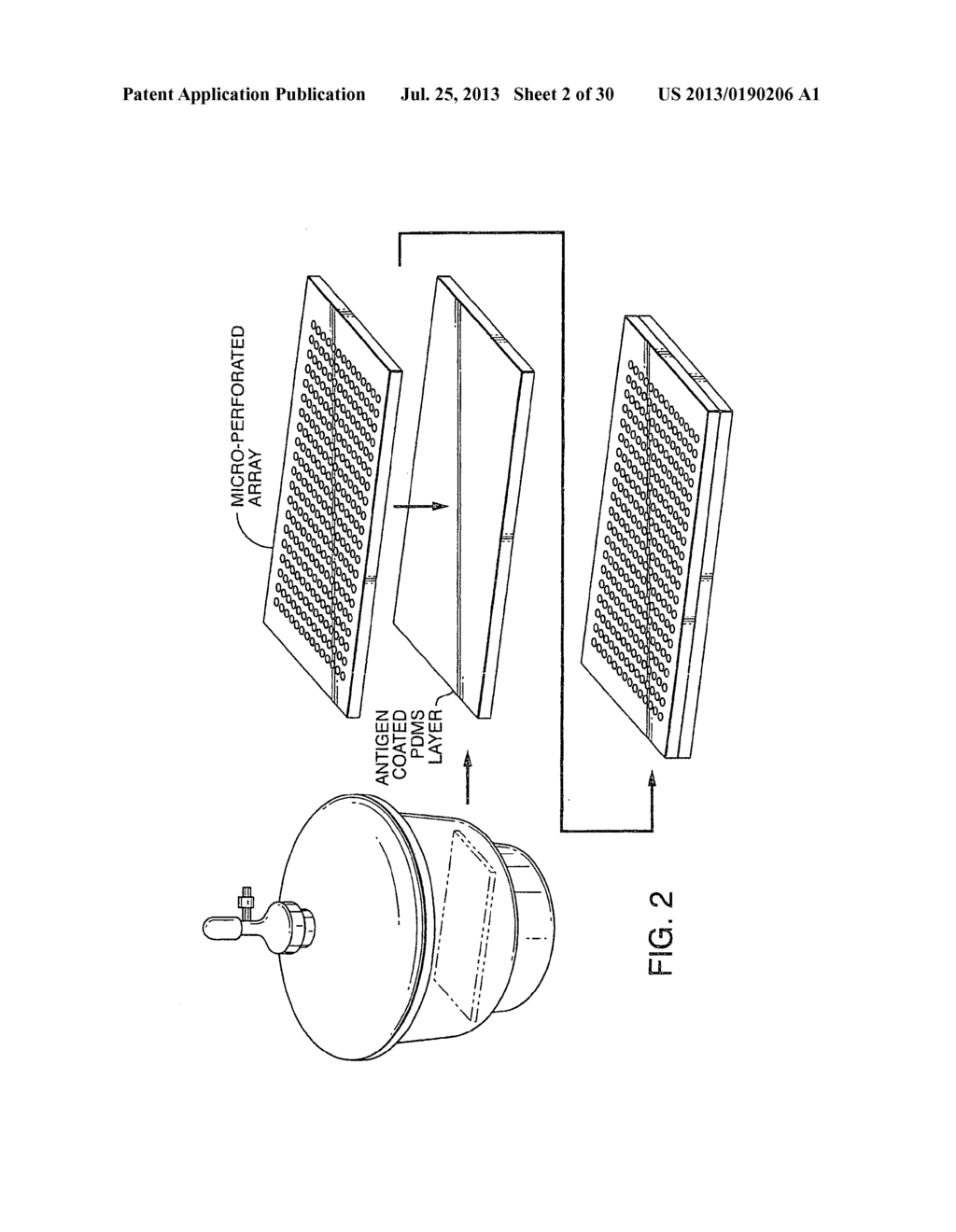 Direct Clone Analysis and Selection Technology - diagram, schematic, and image 03