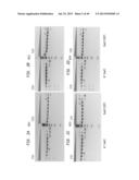 High Fidelity Restriction Endonucleases diagram and image