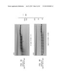 High Fidelity Restriction Endonucleases diagram and image