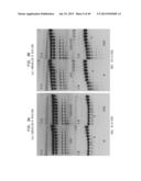 High Fidelity Restriction Endonucleases diagram and image