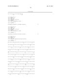 High Fidelity Restriction Endonucleases diagram and image