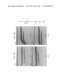 High Fidelity Restriction Endonucleases diagram and image