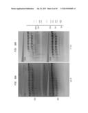 High Fidelity Restriction Endonucleases diagram and image