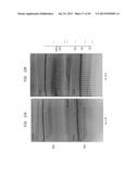 High Fidelity Restriction Endonucleases diagram and image