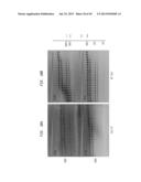 High Fidelity Restriction Endonucleases diagram and image