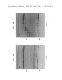 High Fidelity Restriction Endonucleases diagram and image