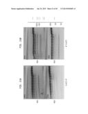 High Fidelity Restriction Endonucleases diagram and image