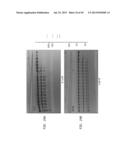 High Fidelity Restriction Endonucleases diagram and image