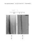 High Fidelity Restriction Endonucleases diagram and image