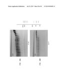 High Fidelity Restriction Endonucleases diagram and image