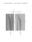 High Fidelity Restriction Endonucleases diagram and image