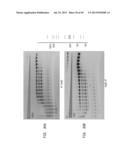 High Fidelity Restriction Endonucleases diagram and image