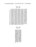 High Fidelity Restriction Endonucleases diagram and image