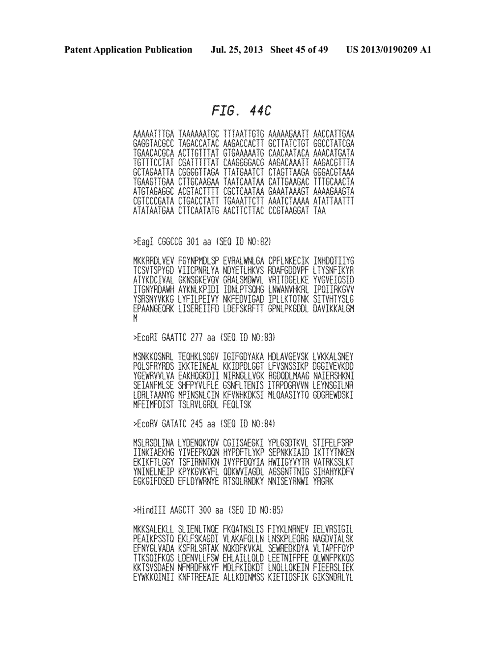 High Fidelity Restriction Endonucleases - diagram, schematic, and image 46