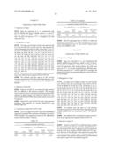 High Fidelity Restriction Endonucleases diagram and image