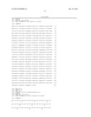 High Fidelity Restriction Endonucleases diagram and image