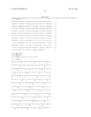 High Fidelity Restriction Endonucleases diagram and image