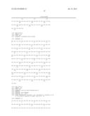 High Fidelity Restriction Endonucleases diagram and image